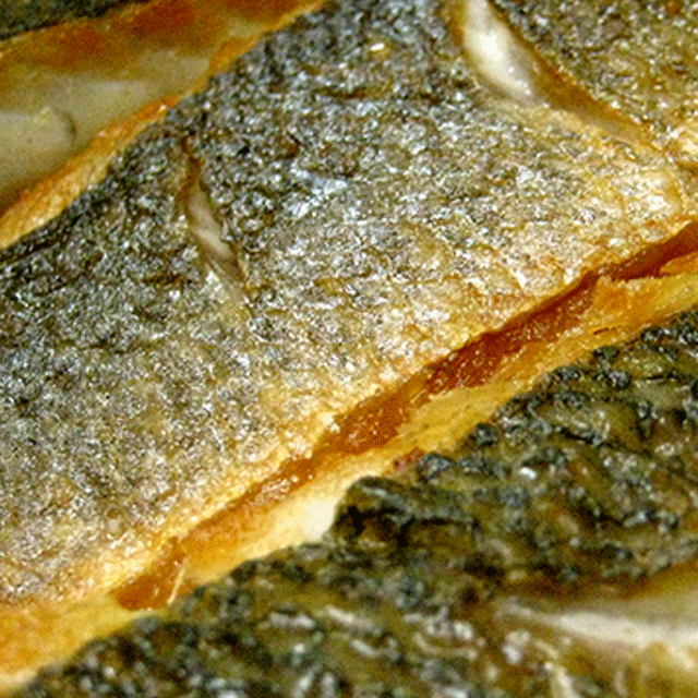 Catering with delectable fish low and slow or grilled the image shows Fresh mackerel fillets with chermoula  perfect party catering