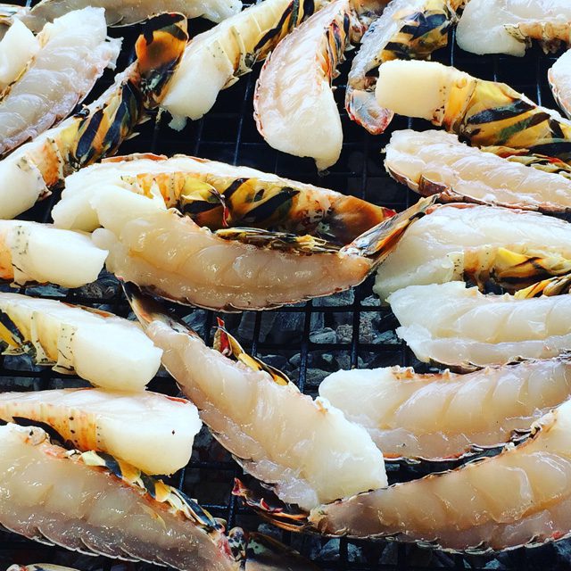 Wedding Caterer for summer Parties, Weddings Receptions or Corporate clients looking to impress at their summer party. Clicking on this image of stuffed lobster tails smoking on a barbecue will take you to our Spring/Summer menus